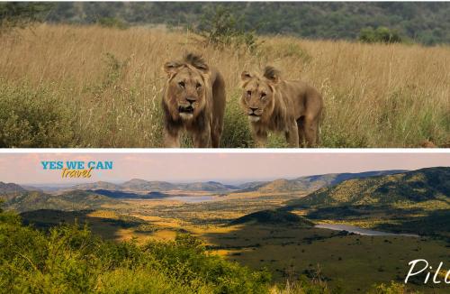 Johannesburg et réserve du Pilanesberg